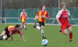 thm_Rothemann - SVS 13.4.08 46.gif